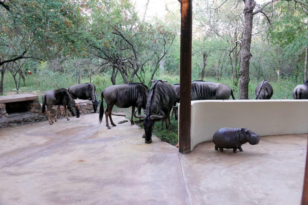 Treetops Marloth Park Exterior photo
